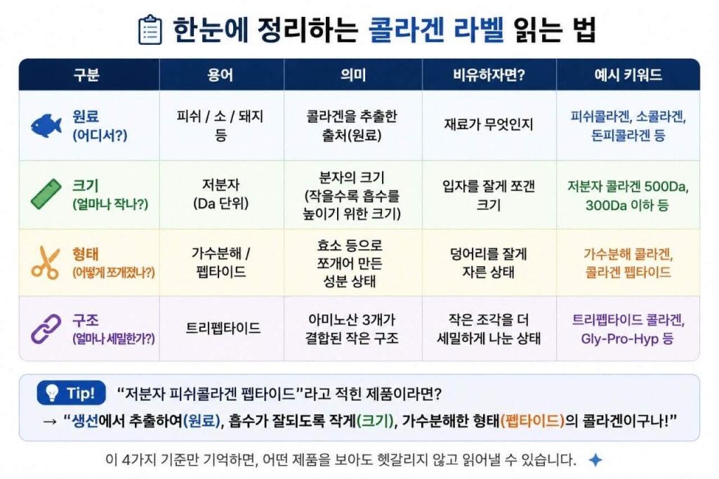 저분자 콜라겐과 콜라겐 펩타이드, 트리펩타이드 차이를 설명하는 이미지