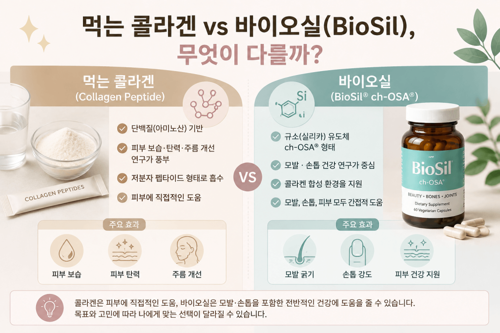 먹는 콜라겐 vs 바이오실 성분 작용 방식 피부 모발 손톱 비교