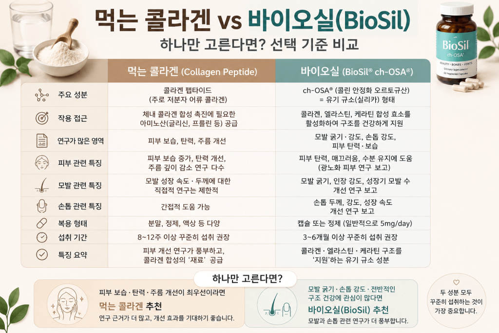 먹는 콜라겐 vs 바이오실 선택 기준