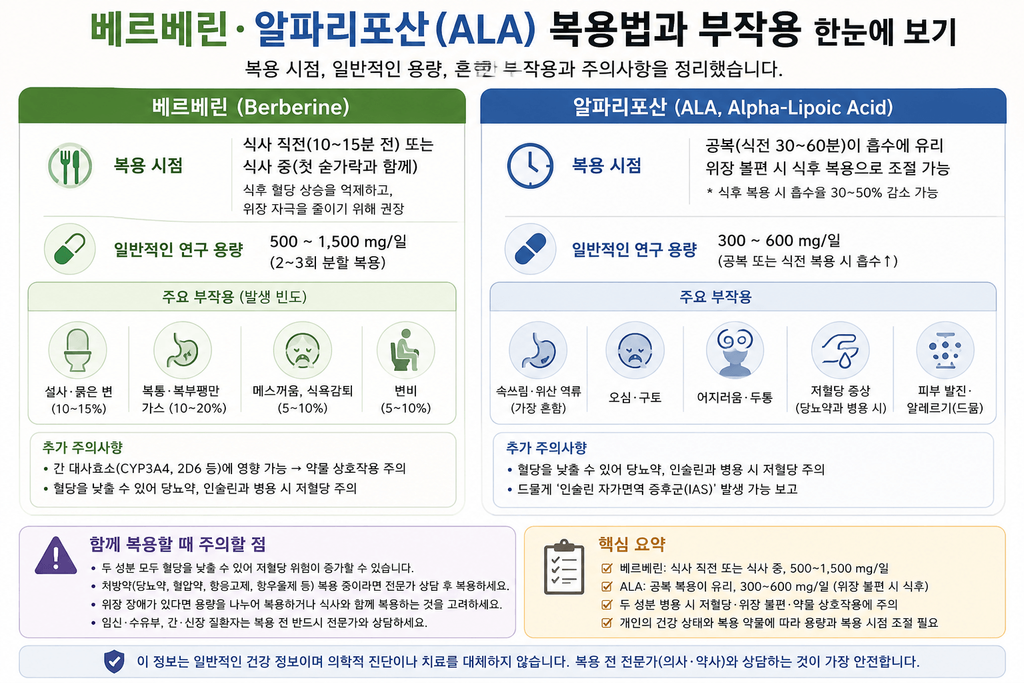 베르베린과 알파리포산 ALA의 복용 시점, 일반적인 연구 용량, 부작용과 병용 시 주의사항을 정리한 인포그래픽