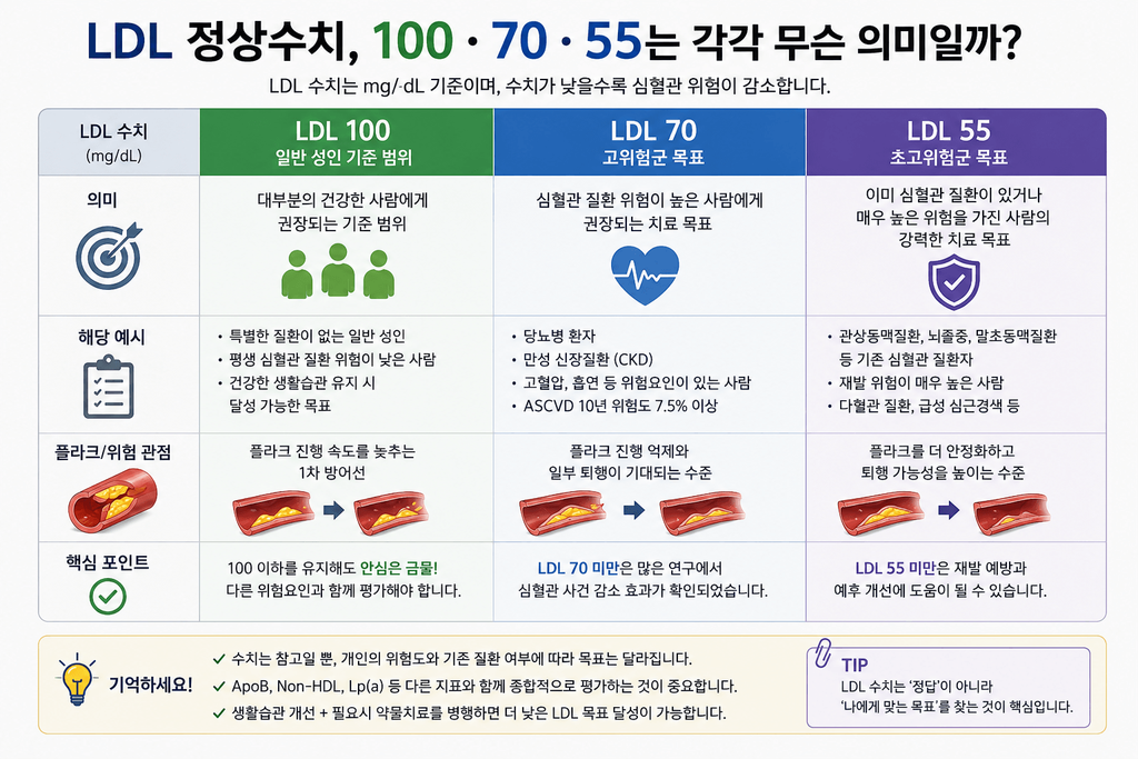 LDL 정상수치 100·70·55의 의미와 심혈관 위험도별 목표 비교