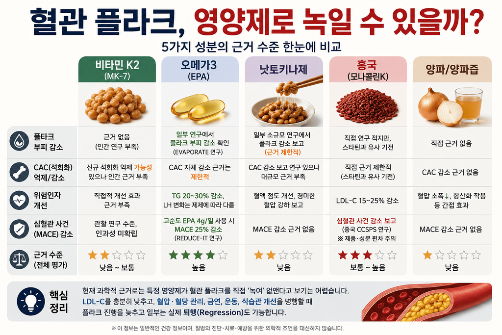 비타민 K2, 오메가3, 낫토키나제, 홍국, 양파의 혈관 플라크 근거 수준 비교 인포그래픽