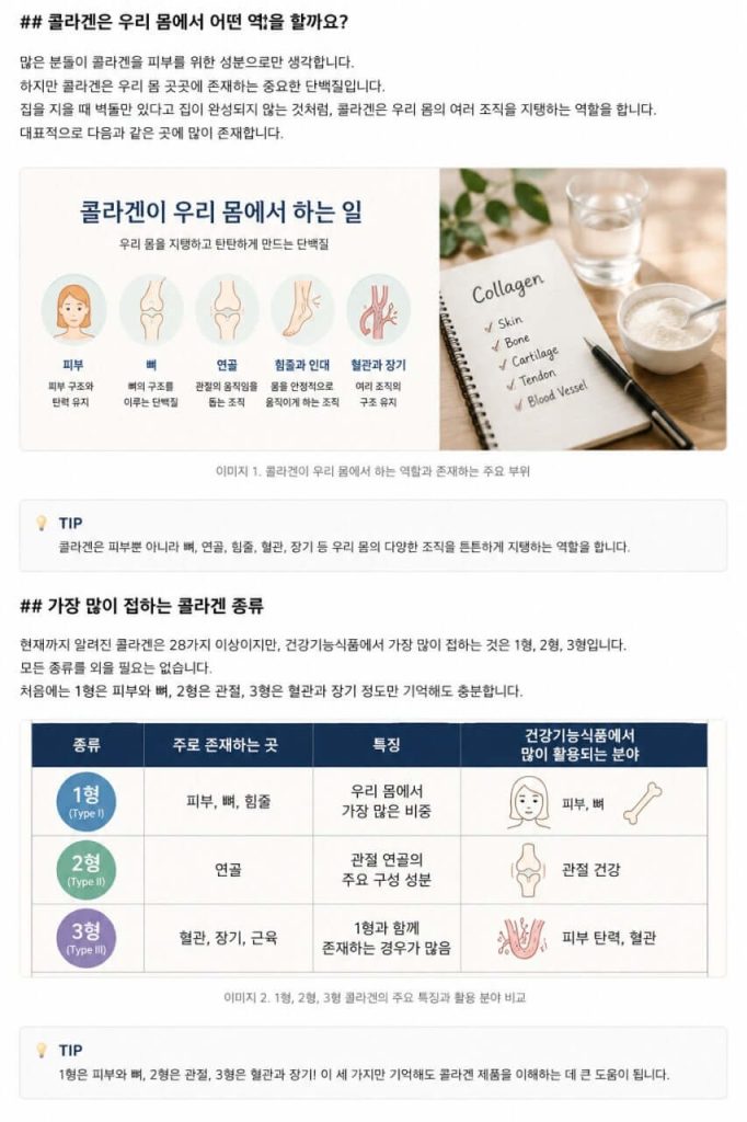 콜라겐의 종류와 우리 몸에서의 역활을 설명하는 인포그래픽
