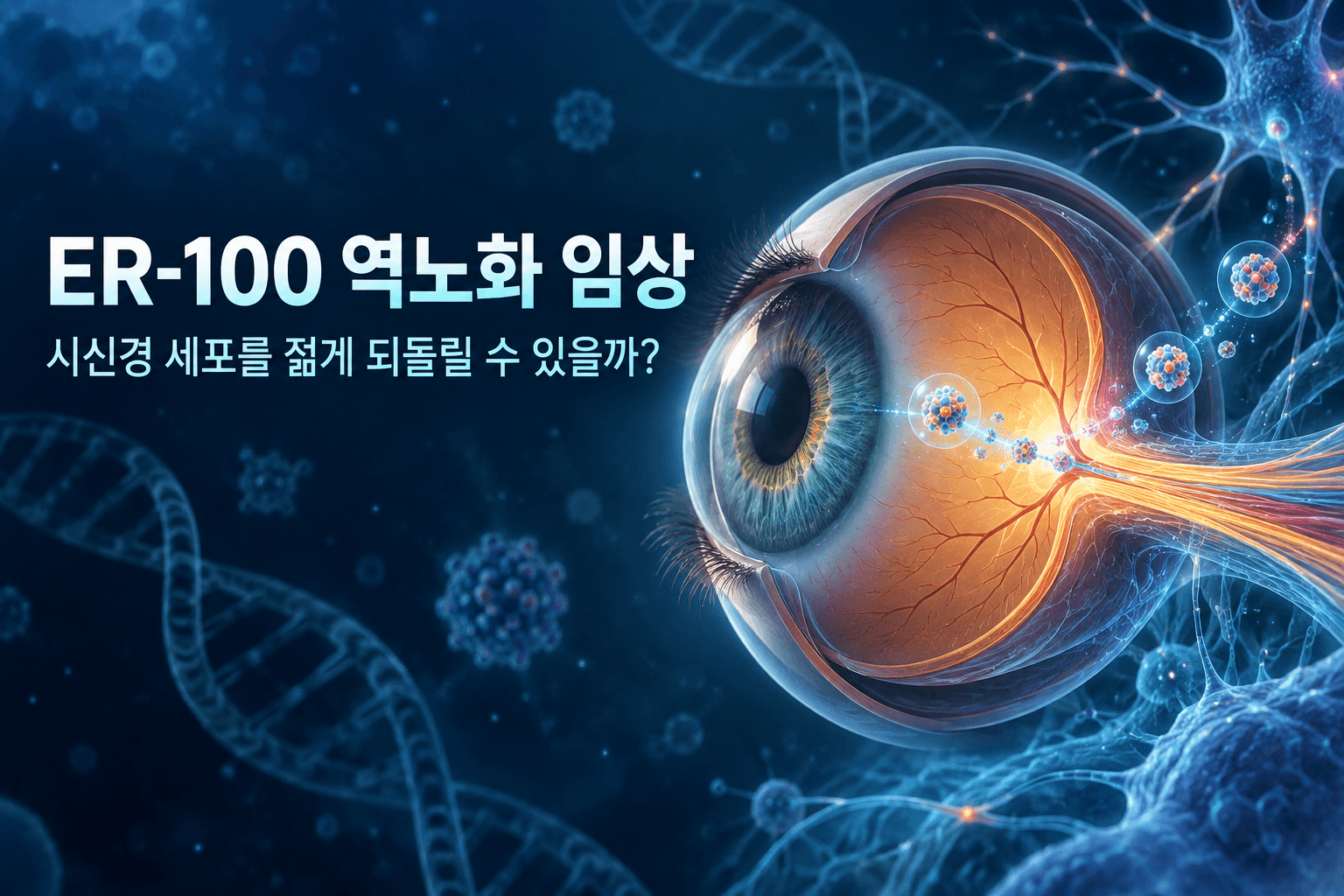 ER-100 역노화 임상, 시신경 세포를 정말 젊게 되돌릴 수 있을까?