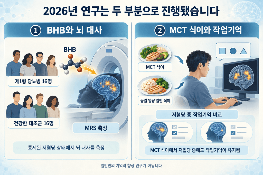 2026년 제1형 당뇨병 연구의 BHB 뇌 대사 측정과 MCT 식이 작업기억 비교를 구분한 이미지